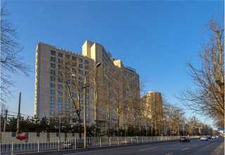 东营压浆料价格