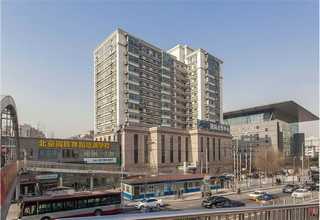 福建泥花生批发