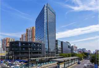 小奶狗用宠物益生菌哪个品牌口碑好