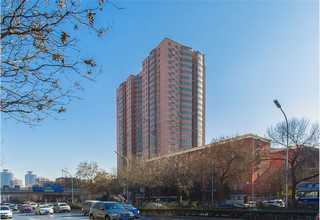 女生学太极拳比赛规则